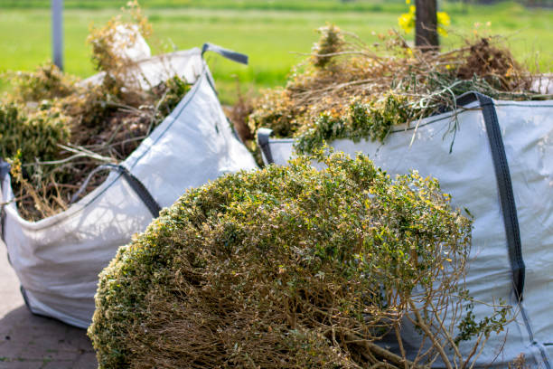 Basement Cleanout Services in Troy, OH